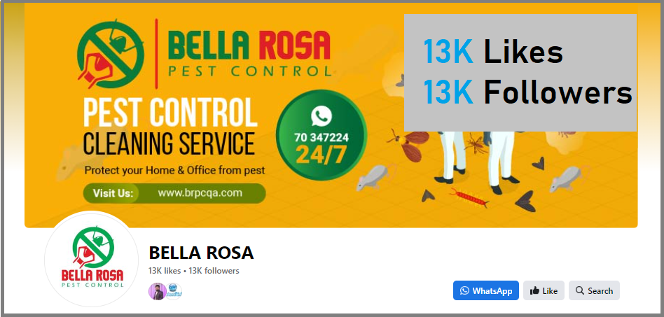 Bella Rosa Pest Control_eDream Designer